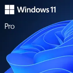 Windows 11 Pro 64bit key
